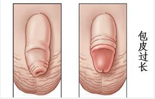 769-1P322155J3P7 769-1P322155J3P7